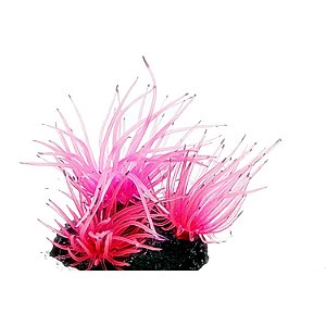 Enfeite de Silicone Soma anêmona Long Tentacle Rosa - Multi