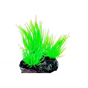 Enfeite de Silicone Soma anêmona Long Tentacle Verde - Multi