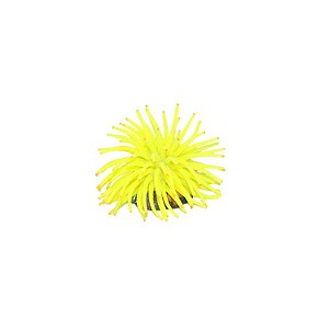 Enfeite de Silicone Soma anêmona Short Amarela 6 cm