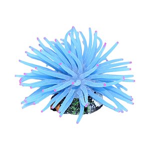Enfeite de Silicone Soma anêmona Short Azul 11 cm