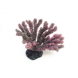 Enfeite de Silicone Soma Coral Acropora Porites Roxa