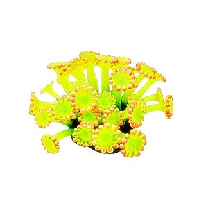 Enfeite de Silicone Soma Coral Alveopora Amarela 04