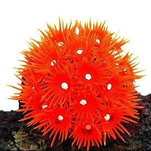Enfeite de Silicone Soma Coral Goniopora Vermelha