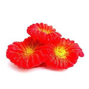 Enfeite de Silicone Soma Coral Plate Vermelho