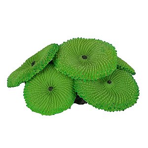 Enfeite de Silicone Soma Coral Ricordea Verde 02