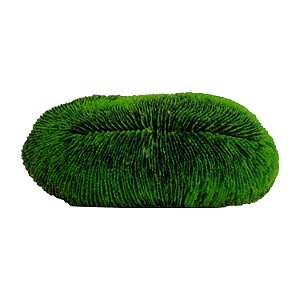Enfeite de Silicone Soma Coral Tongue Verde