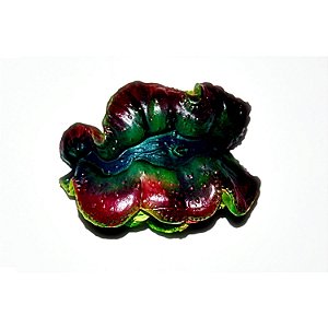 Enfeite de Silicone Soma Invertebrado Tridacna
