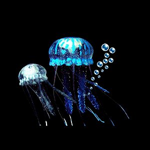 Enfeite de Silicone Soma Jellyfish Combo Azul / Branca (md/Pq)