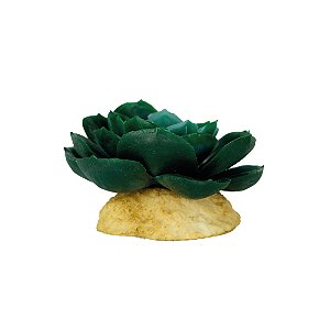 Enfeite de Silicone Soma Planta Suculenta 02