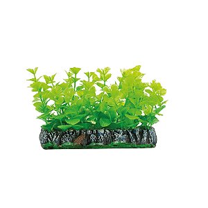 Planta plástica Soma Tapete Bacopa 10CM