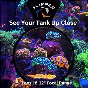 Flipper Filtro Laranja para DeepSee Viewer Max Clear - 12.5 cm de  diâmetro