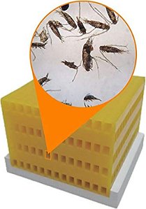 Acessório para Aquário Icecap POD Habitat