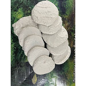 Acessório para Aquário Coral Frag Plus 10PCS