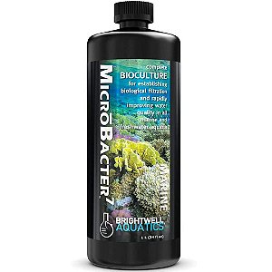 Coral Inertia - Super Alimento Brightwell Aquatics 1000ml