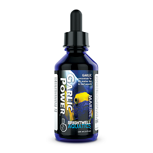Garlic Power - Suplemento Concentrado de Alho Brightwell Aquatics 30 ml