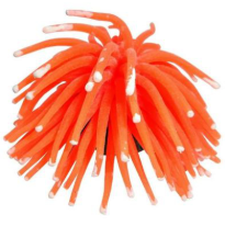 MAXXI ANEMONA YS-15101O LARANJA 7X7X10CM GLOWING