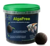 MAXXI BACTERIA HOUSE QUADRADA G CAIXA C/6 UNID