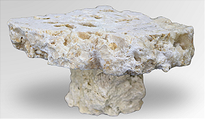 ARNOEX PEDESTAL CUT REEF ROCK 10-20CM 10PÇS 23KG