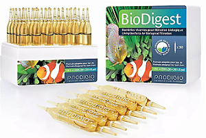 NOVO PRODIBIO BIODIGEST 30 AMPOLAS