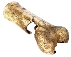 NOMOYPET NS-150 TOCA OSSO DINOSSAURO 21*9*6CM