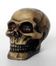 NOMOYPET NS-102 CAVEIRA RESINADA GD 8X11X9CM