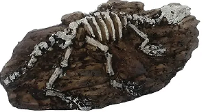 NOMOYPET NS-124 FOSSIL DE DINOSSAURO 14X4,5X5,5