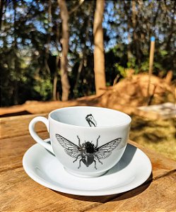 Xícara de chá - Cicada Molar