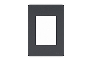 Placa 4X2 3 Módulos Stellar Black Orion Schneider