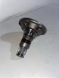 Tulipa de gti