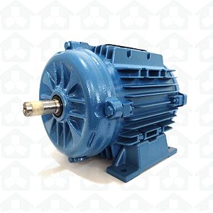 MOTOR ELÉTRICO TRIFÁSICO WEG 0,5 CV 220V 60 Hz