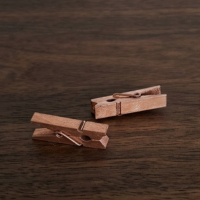 10 Mini Prendedores Rose