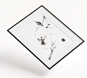 Print A4 - The birds