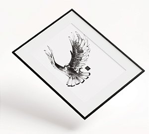 Print A4 - The falcon