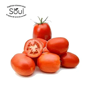 Tomate Italiano - Orgânico - 500 G