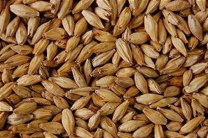 Malte Agrária Munique