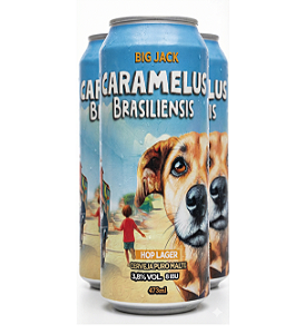 Kit 3 Cerveja Big Jack Hop Lager Caramelus Brasiliensis 473ml