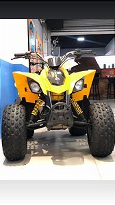 Can-Am DS 90cc