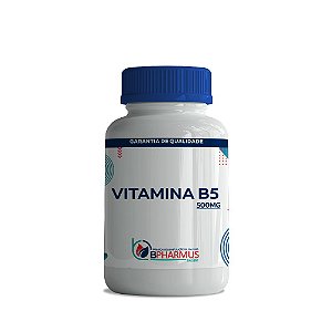 Vitamina B5 (Ácido Pantotênico) 500mg - 60 cápsulas