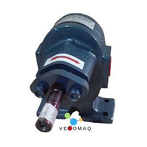 Bomba de Engrenagem 3/4" 3000l/h