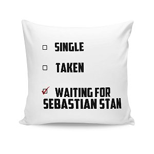 Almofada Sebastian Stan Waiting For