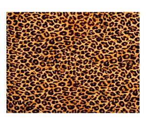 Jogo Americano (Kit 4 Unidades) Nerderia e Lojaria pele leopardo colorido