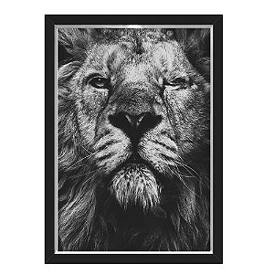 QUADRO CAIXA 33X43  NERDERIA E LOJARIA lion eye preto