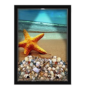 Quadro Caixa Porta Conchas 33x43 cm (Com Led) Lojaria e Nerderia. conchas estrela do mar 02 preto