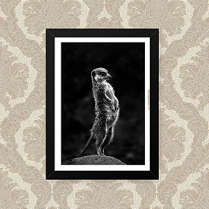 Quadro Decorativo 23x33cm Nerderia e Lojaria suricate pose preto