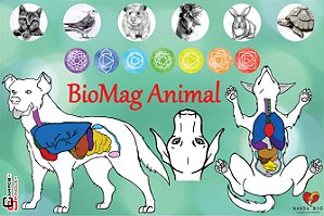 Mesa BioMag Animal (60x40)