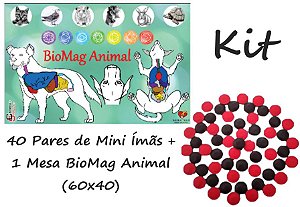 Kit - 1 Mesa BioMag Animal + 40 Pares de Mini Ímãs