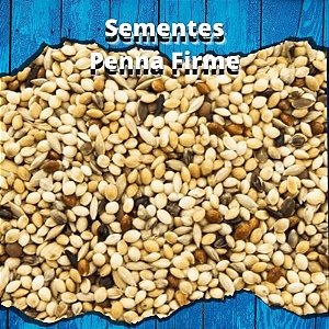 Mistura de Sementes  - Coleiro - 500g