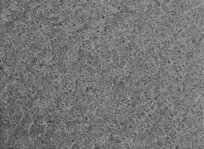 Carpete Agulhado Com Resina 7mm Cinza Claro - Largura 2m