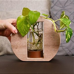 Vaso de vidro com madeira