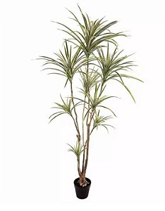 Planta Árvore Artificial Dracena Verde em 2 Tons 1,95m